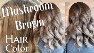 MUSHROOM BROWN HAIR TREND  Formulation For The Perfect Ashy Brown [upl. by Odette340]