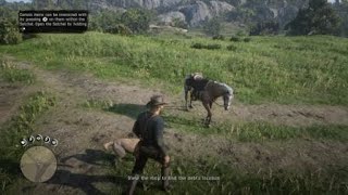 RDR2 Fastest Way to Collect on Chick Matthews [upl. by Polly6]