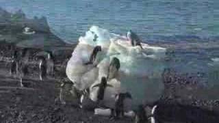 Antarctica in 5 minutes [upl. by Schweiker]