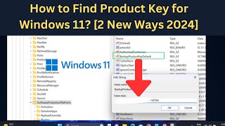 How to Find Product Key for Windows 11 2 New Ways 2024 [upl. by Esiocnarf]