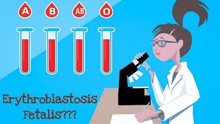 Erythroblastosis Fetalis explained  PGT and TGT Biology IAS NEET etc [upl. by Airamahs586]