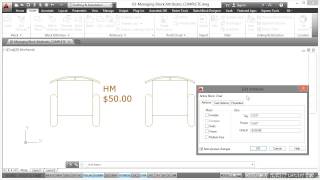 AutoCAD Blocks and Dynamic Blocks Tutorial  Manage Block Attributes [upl. by Llennhoj308]