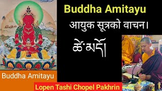 Buddha Amitayus sutra ཚེ་མདོ། आयु सूत्रको वाचन। [upl. by Orose752]