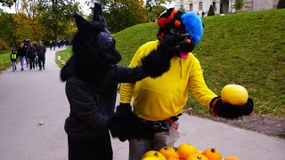 Der Suitwalk im Blühenden Barock Ludwigsburg 2023 [upl. by Kostman]