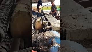 Tree straight hess polishing process good tools and machinery make work easisatisfying shortvideo [upl. by Yenolem]