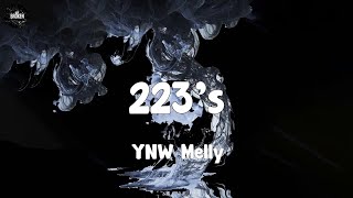 223s  YNW Melly lyrics [upl. by Murat356]