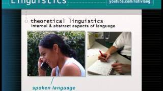 What is linguistics How do linguists study language  Linguistics 101 [upl. by Vona]