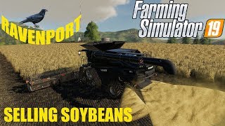 Ravenport Ep 44 Farming Simulator 19 Tending to the cows and harvesting soybeans [upl. by Assilym199]