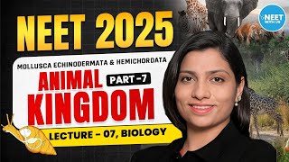 NEET 2025  Animal Kingdom  Mollusca Echinodermata amp Hemichordata  Part 07  By Ritu Maam [upl. by Aynosal891]