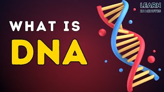 What is DNA  Deoxyribonucleic Acid  Basics Structure and Functions of DNA  Genetics [upl. by Ormand272]