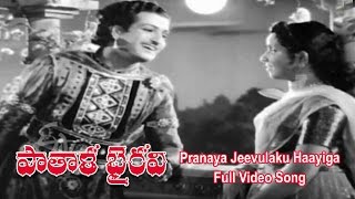 Pranaya Jeevulaku Haayiga Full Video Song  Patala Bhairavi  NTR  K Malathi  ETV Cinema [upl. by Braden]