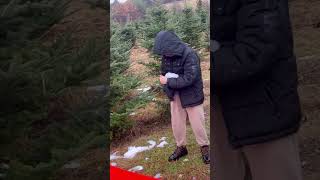 Tis The Season Christmas Tree Cutting Time [upl. by Naam]