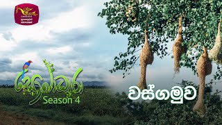 Sobadhara  Sri Lanka Wildlife Documentary  20201009  Wasgamuwa National Park වස්ගමුව [upl. by Akihsay]