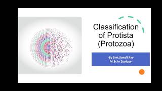 Classification of Protista  Classification of Protozoa  3 First Semester Zoology Honours [upl. by Hawk]