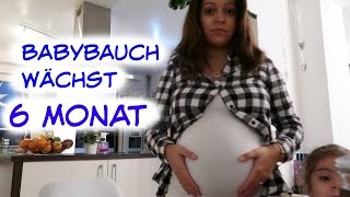 BABYBAUCH WÄCHST  ENDLICH HALBZEIT  Vlog669 Rosislife [upl. by Cerf]