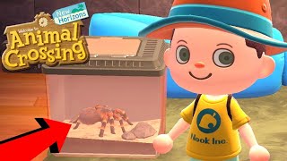 EEN VOGELSPIN ALS HUISDIER   Animal Crossing New Horizons 3 [upl. by Sparky]