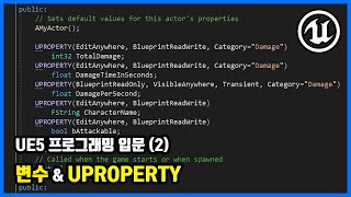 UE5 프로그래밍 입문 2  변수 amp UPROPERTY  언리얼 5 U5P1 [upl. by Jenelle]