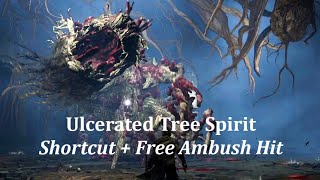 Elden Ring Ulcerated Tree Spirit Stormveil Castle Shortcut  Free first hit [upl. by Acimaj502]