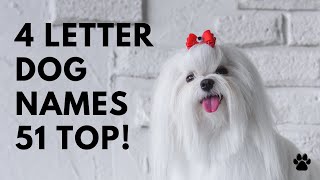 🐶 4 Letter Dog Names 51 SHORT 🐾 TOP 🐾 CUTE 🐾 Ideas  Names [upl. by Sucramed341]