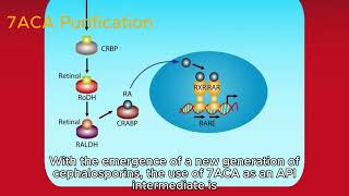 7ACA Purification [upl. by Suiraj426]