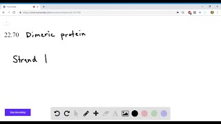 A dimeric protein contains 142 amino acids in one strand and 148 in the other How many codons code… [upl. by Ama]
