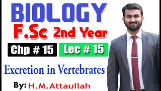 Excretion in vertebrates  Chapter 15  2nd year Biology  Lec  15 [upl. by Kowal636]