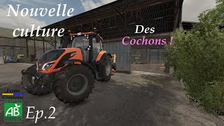 La Ferme Réaliste  LHéritage  Nouvelle culture  Des cochons  Ep2 [upl. by Enna]