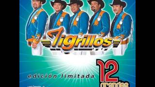 Los tigrillos Se baila asi mix [upl. by Westfall402]