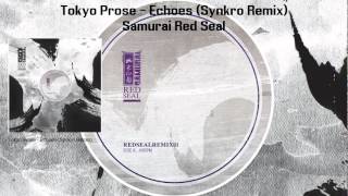 Tokyo Prose  Echoes Synkro Remix [upl. by Xylia]