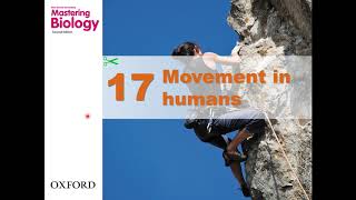 HKDSE Biology  Movement in Humans  Part 1 [upl. by Andriana]