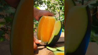 cool satisfying asmr yellow watermelon cutting satisfying [upl. by Alrak21]