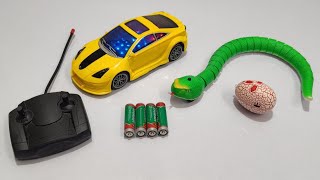 RC Centipede Cobra Snake Remote Control Simulation And Rechargeable Unboxing amp Review [upl. by Marlie]