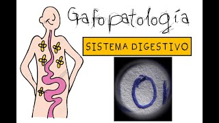 GRAFOPATOLOGÍA  Sistema Digestivo [upl. by Ahsenra839]