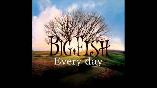 big fish every day [upl. by Adriane]