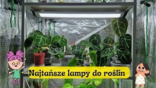 Najtańsze lampy do roślin 🤑🤑🤑 Taniej sie już nie da [upl. by Suilienroc]