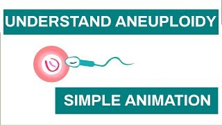 Aneuploidy in Humans Chromosome anomalies  Learn about Aneuploidy with This Simple Animation [upl. by Stutsman]