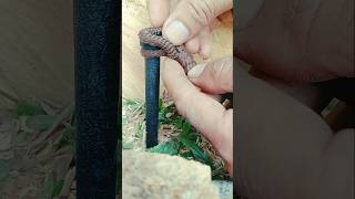 How to tie a rope to an iron pole to create the most effective force shorts knot [upl. by Adamik]