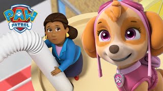 Katie leads the PAW Patrol to rescue Mayor Goodway and more  PAW Patrol Episode Cartoons for Kids [upl. by Bibi]