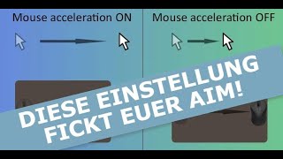 🔧 Maus für Gaming optimieren 100 Mouse Precision und Raw Input für SOFORT BESSERES Aim [upl. by Leemaj]