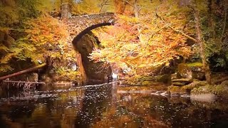 The Hermitage  Dunkeld Perthshire [upl. by Trah]