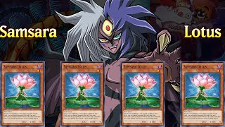 Samsara Lotus Burn OTK YuGiOh Duel Links [upl. by Dorahs]