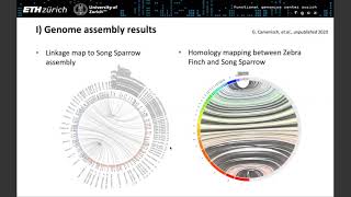 Exploring the Use of Bionano Optical Mapping for Genome Assembly [upl. by Gleda667]