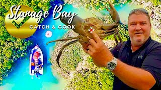 The Biggest Mud Crabs in AustraliaStanage Bay Mud Crab Catch amp Cook [upl. by Annawot871]