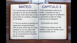 LA BIBLIA HABLADA quot SAN MATEO quot COMPLETO NUEVO TESTAMENTO [upl. by Kcirdehs]