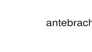 How to pronounce antebrachium [upl. by Suivatram]