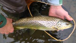 Catskills Fly Fishing [upl. by Pierre]