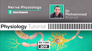 Physiology of nerve 5 Gated channels [upl. by Fielding]