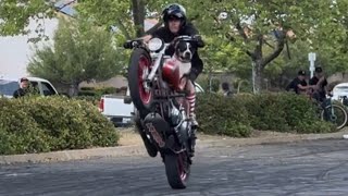 Limiters Unlimited Stunt Show crazy fun at Rocklin Harley Davidson part 2 [upl. by Nivanod]