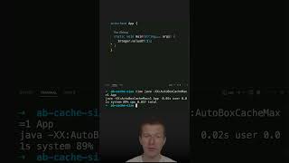 Startup Time and The Autoboxing Cache java shorts coding airhacks [upl. by French]