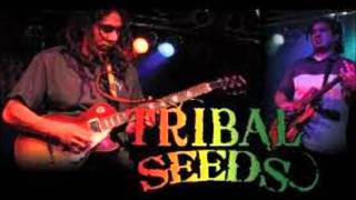 Tribal Seeds quotIn Your Eyesquot [upl. by Eleni]